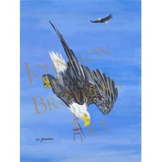 Diving Bald Eagle Diving Bald Eagle